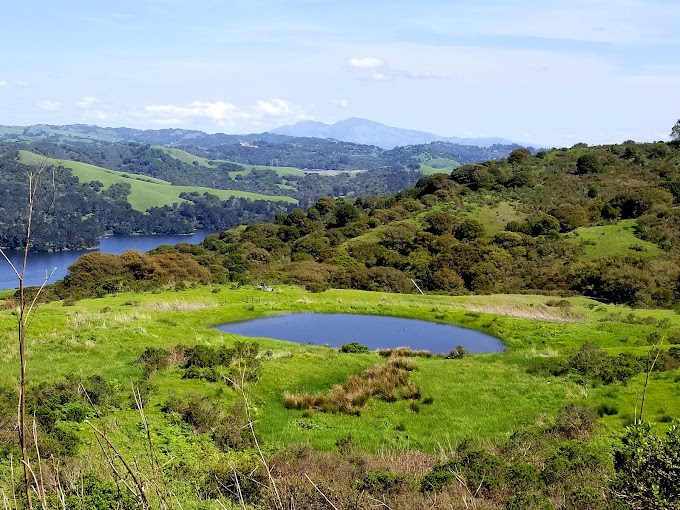 Wildcat Canyon Regional Park
